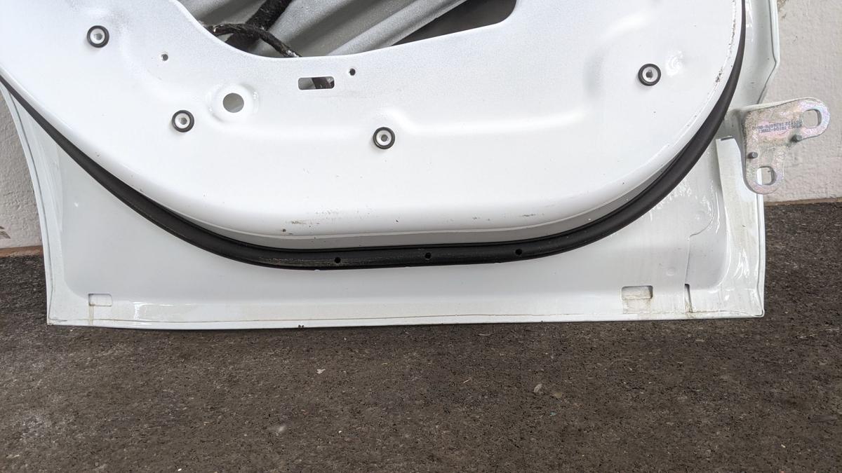 Tür hinten links Fondtür Rohbau Autotür PPSW white Water perl Tesla Model Y