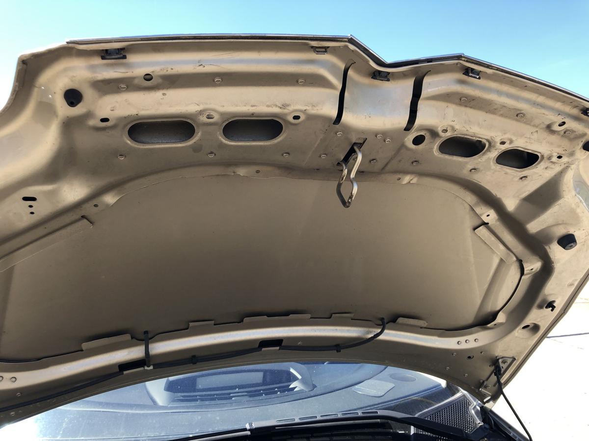 Citroen C4 Typ L Motorhaube Haube Klappe Deckel vorn KCW Sable de Langrune