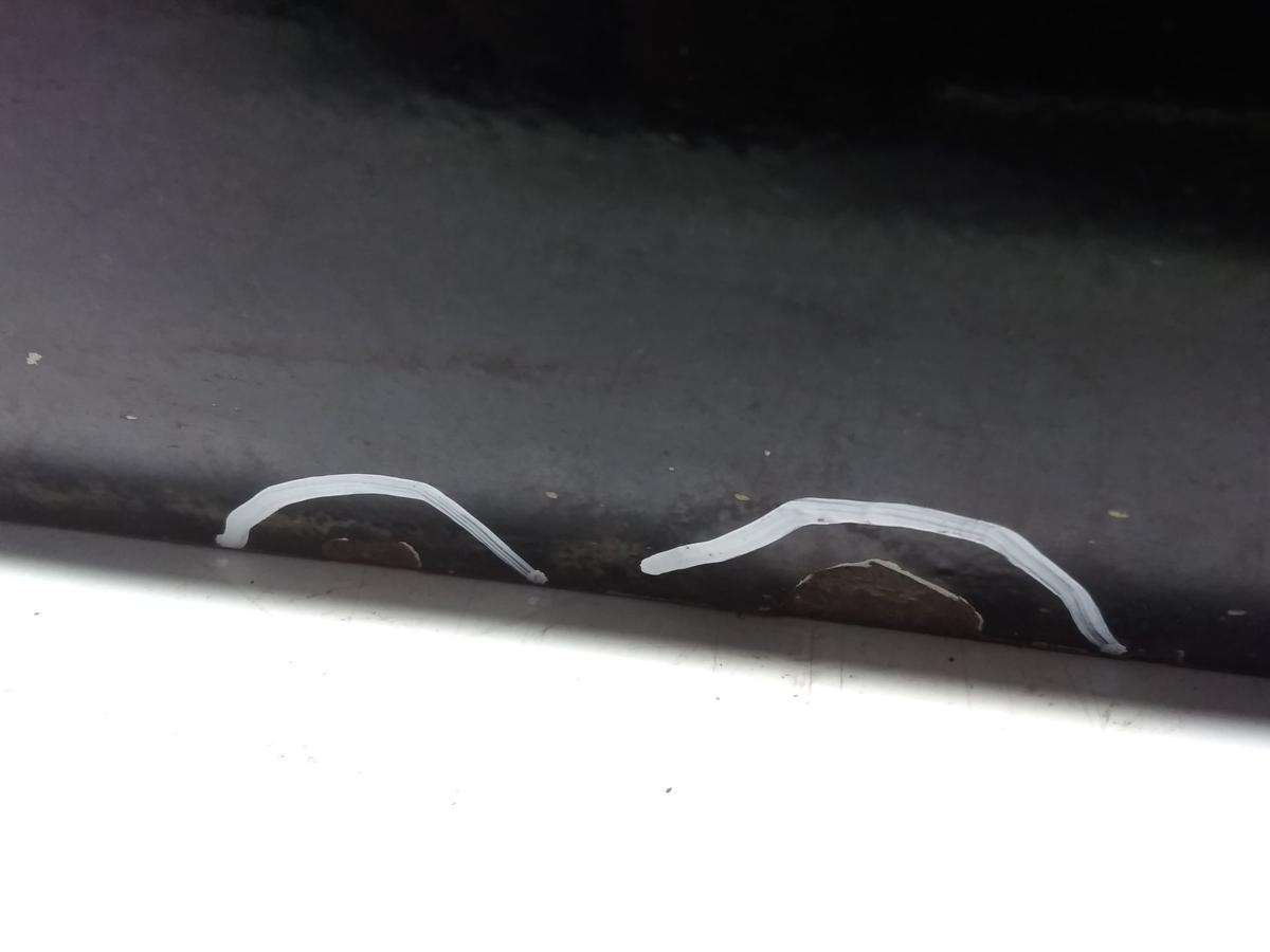 Toyota Celica T20 T&uuml;r vorn rechts Beifahrert&uuml;r 202 Astral Black BJ1995