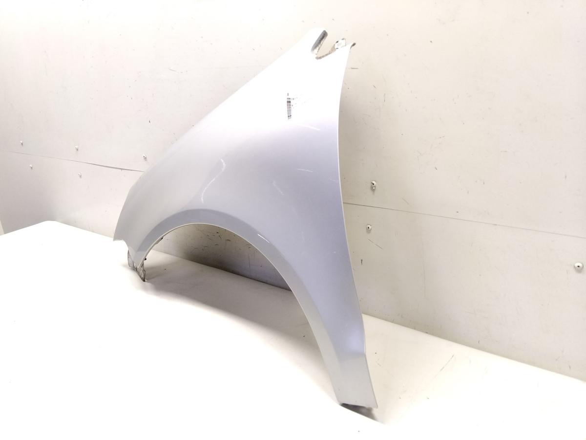 VW Polo 9N3 original Kotfl&uuml;gel vorn links LA7W reflexsilbermetallic BJ2007