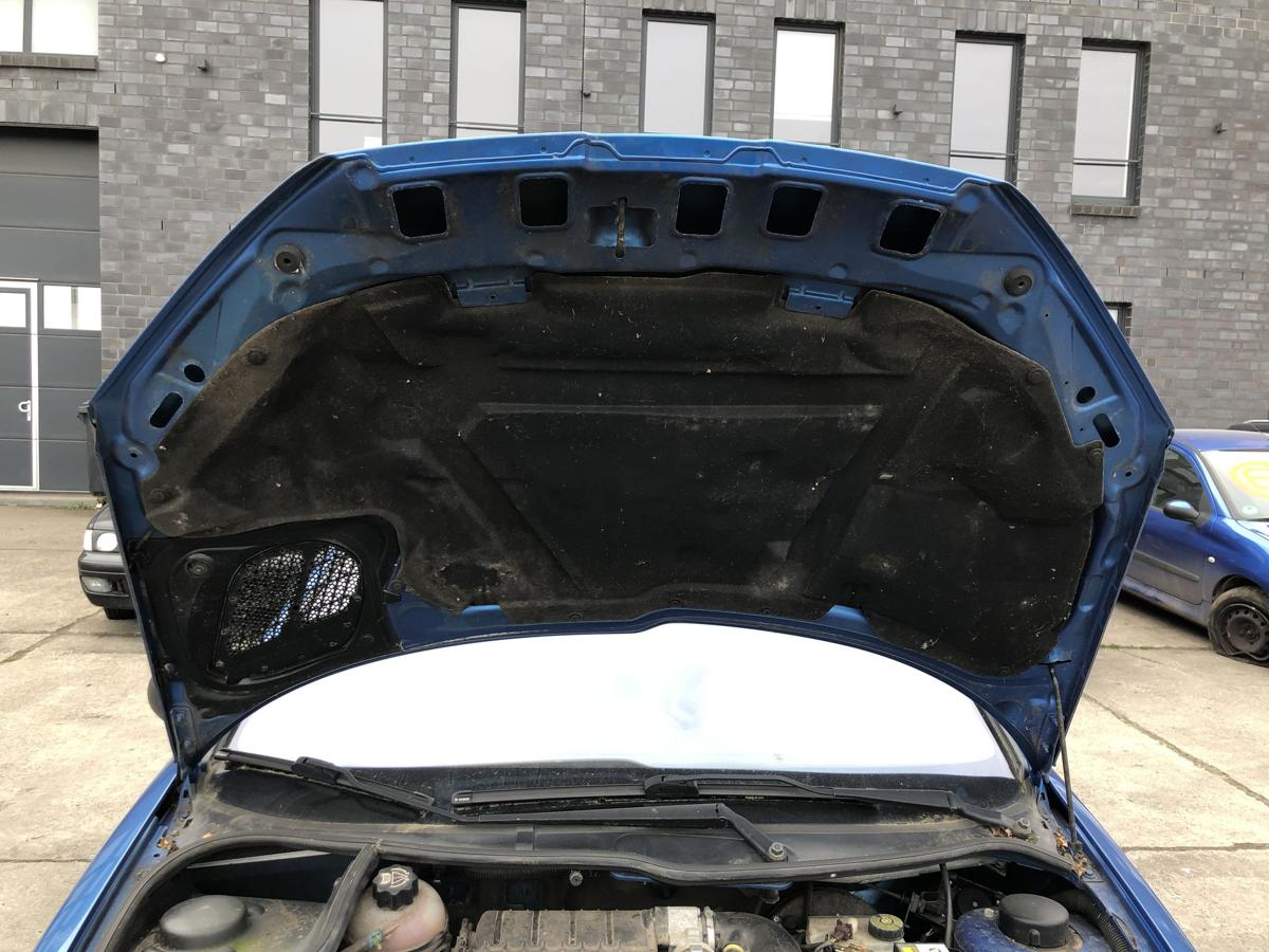 Peugeot 206CC Typ 2D Motorhaube Haube Klappe Deckel vorn KMF Poseidon Blau Met