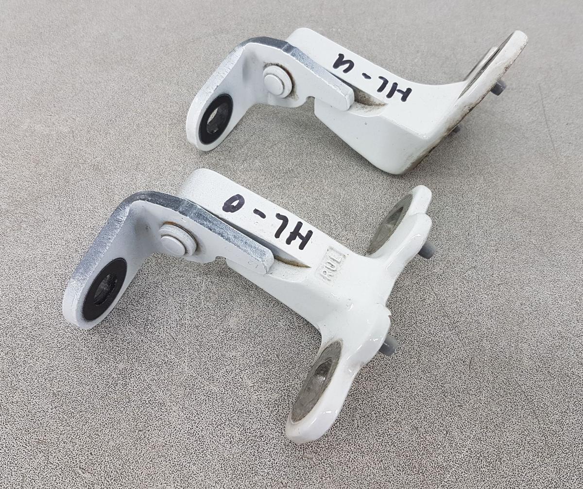 Tesla Model Y Satz T&uuml;rscharniere hinten links Bj2022 in PPSW White Water Pearl