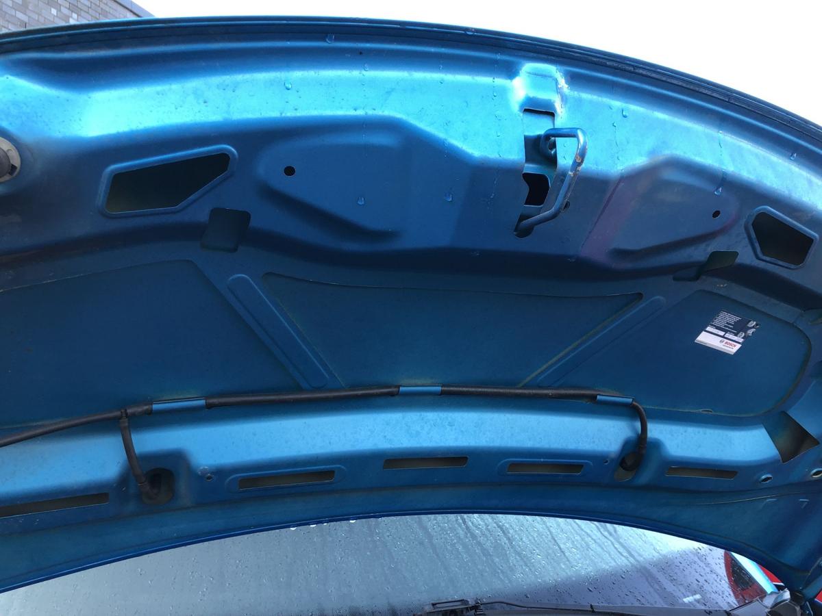 Citroen C3 S Motorhaube Haube Klappe Deckel vorn KGW belle ile