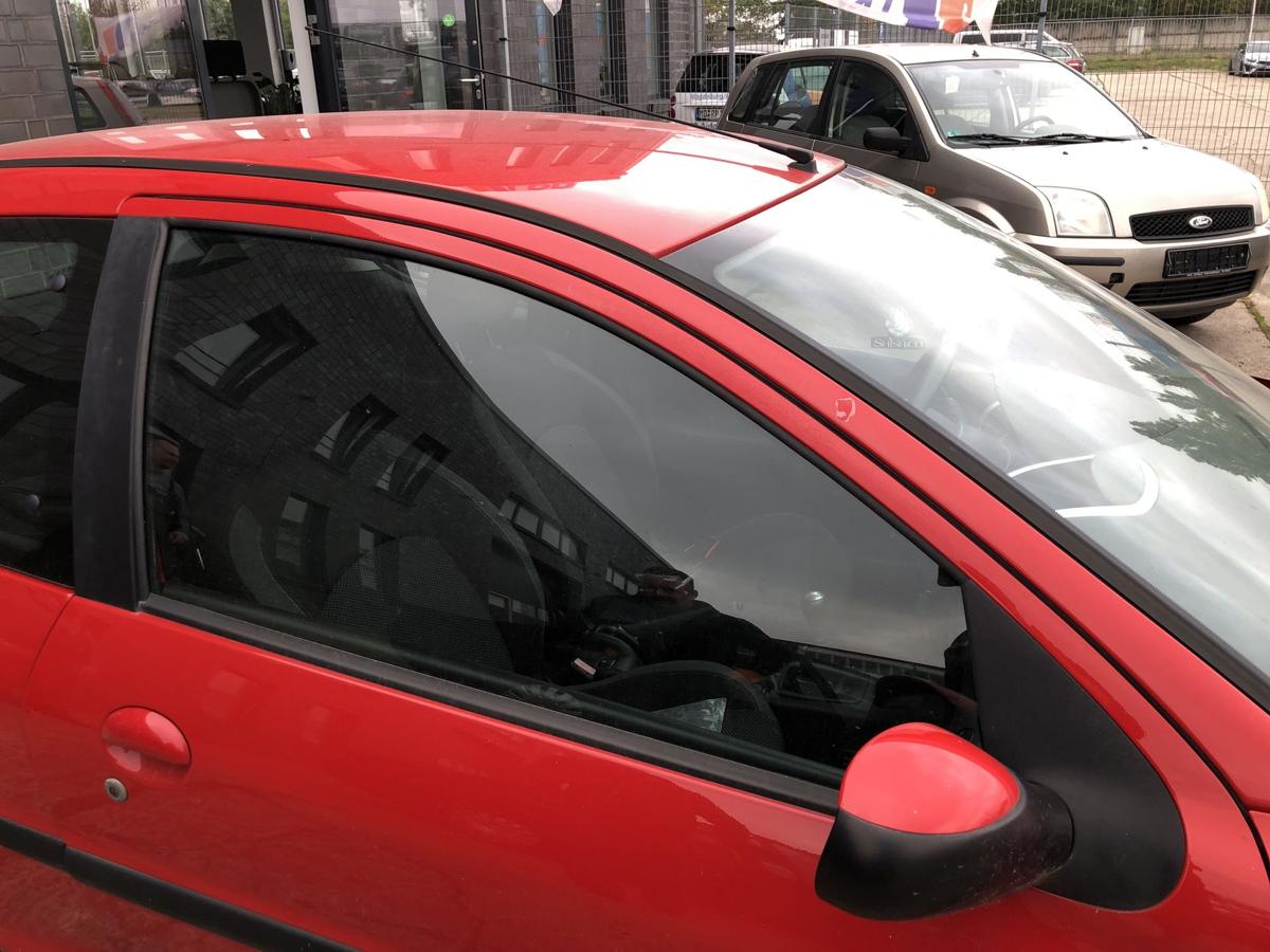 Peugeot 206+ Tür vorn links Beifahrertür KKN Rouge Aden nur 3 türer Rohbau