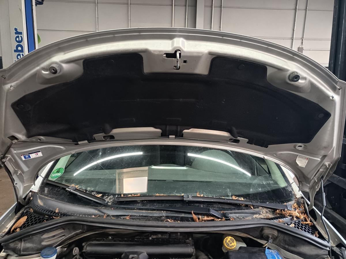 Peugeot 207 Bj 2008 original Motorhaube Deckel vorn EZR Aluminium Grau Metallic