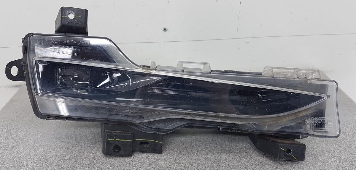 Tesla Model 3 Nebelscheinwerfer rechts Bj2019 1077396-00-D
