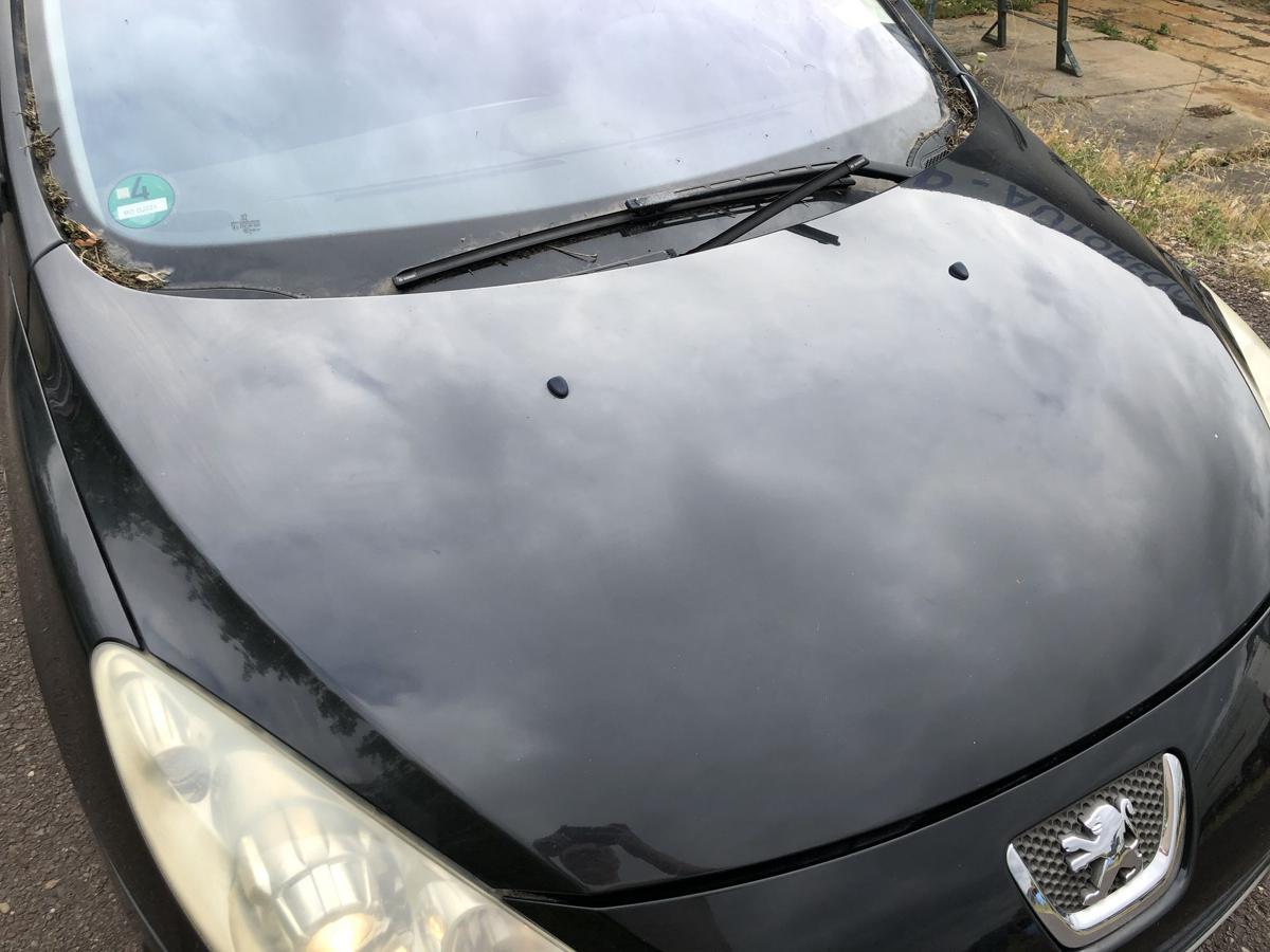 Peugeot 307 SW 3E 3H Motorhaube Haube Klappe Deckel EXL Noir Obsidien Nacre