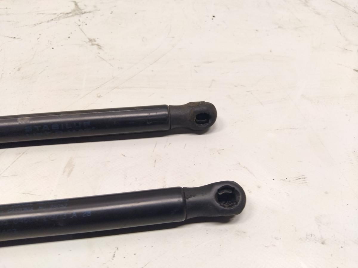 Tesla Model S original Satz Gasdruckd&auml;mpfer Motorhaube BJ2014