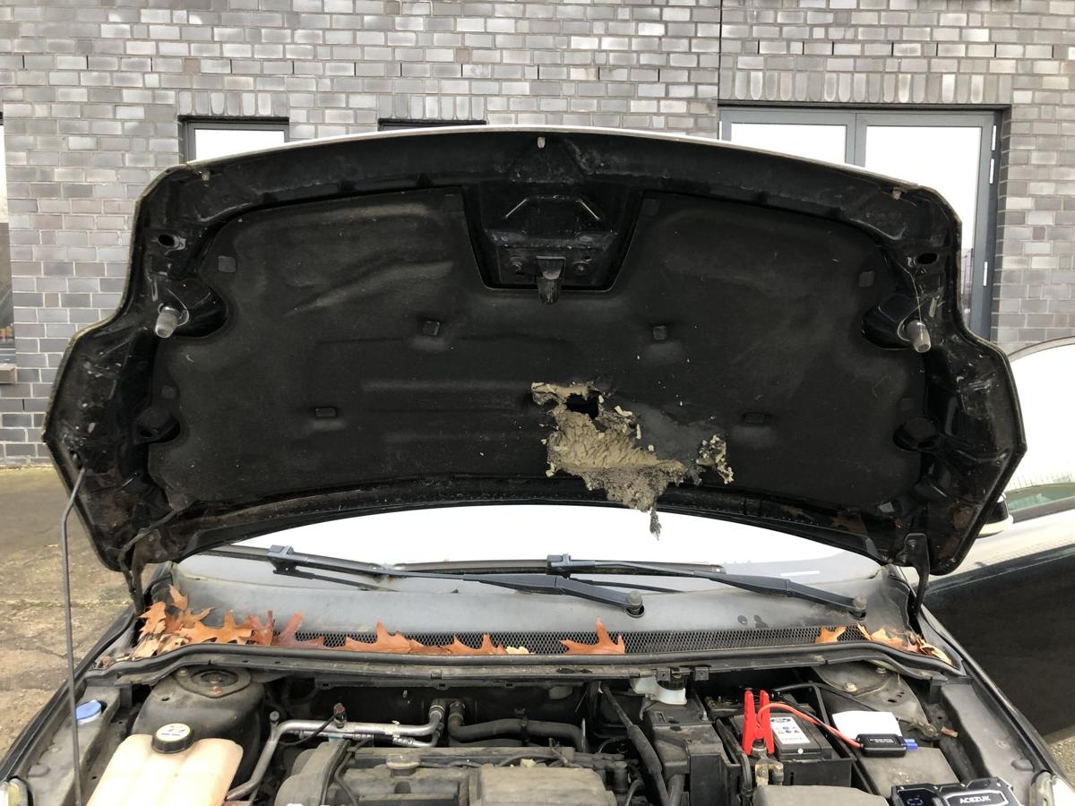 Ford Focus DA3 ab08 Motorhaube Bonnet Haube Deckel vorn schwarz Abdeckung Motor