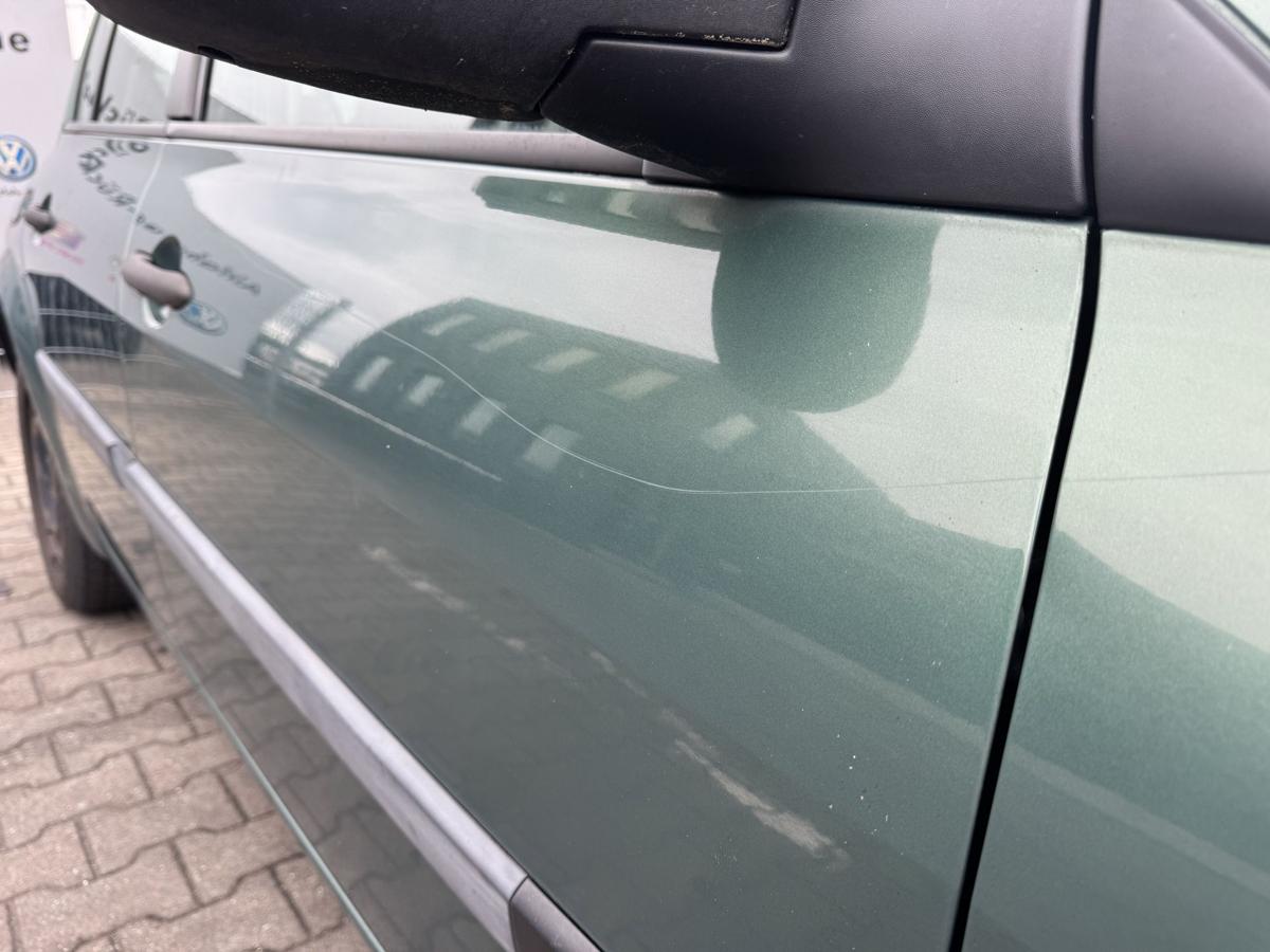 Renault Megane 2 original T&uuml;r vorn rechts D96 Vert Giverny Metallic Rohbau Bj.2004