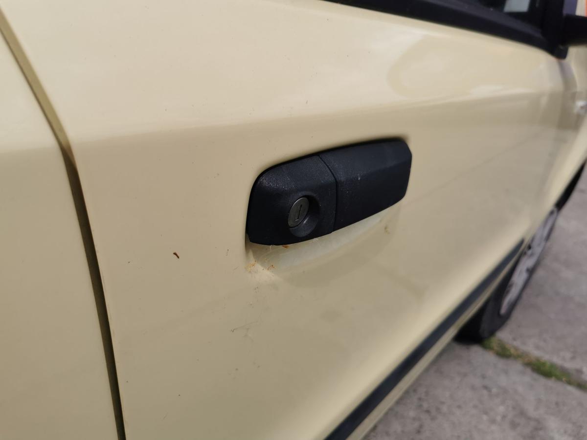 Fiat Panda 169 Beifahrertür Tür Autotür Roh vorn rechts 541 Giallo Ottimistagelb