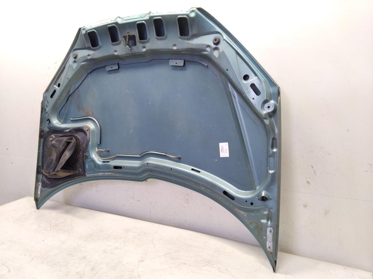 Peugeot 206 original Motorhaube hellgrünmetallic romarin BJ1999