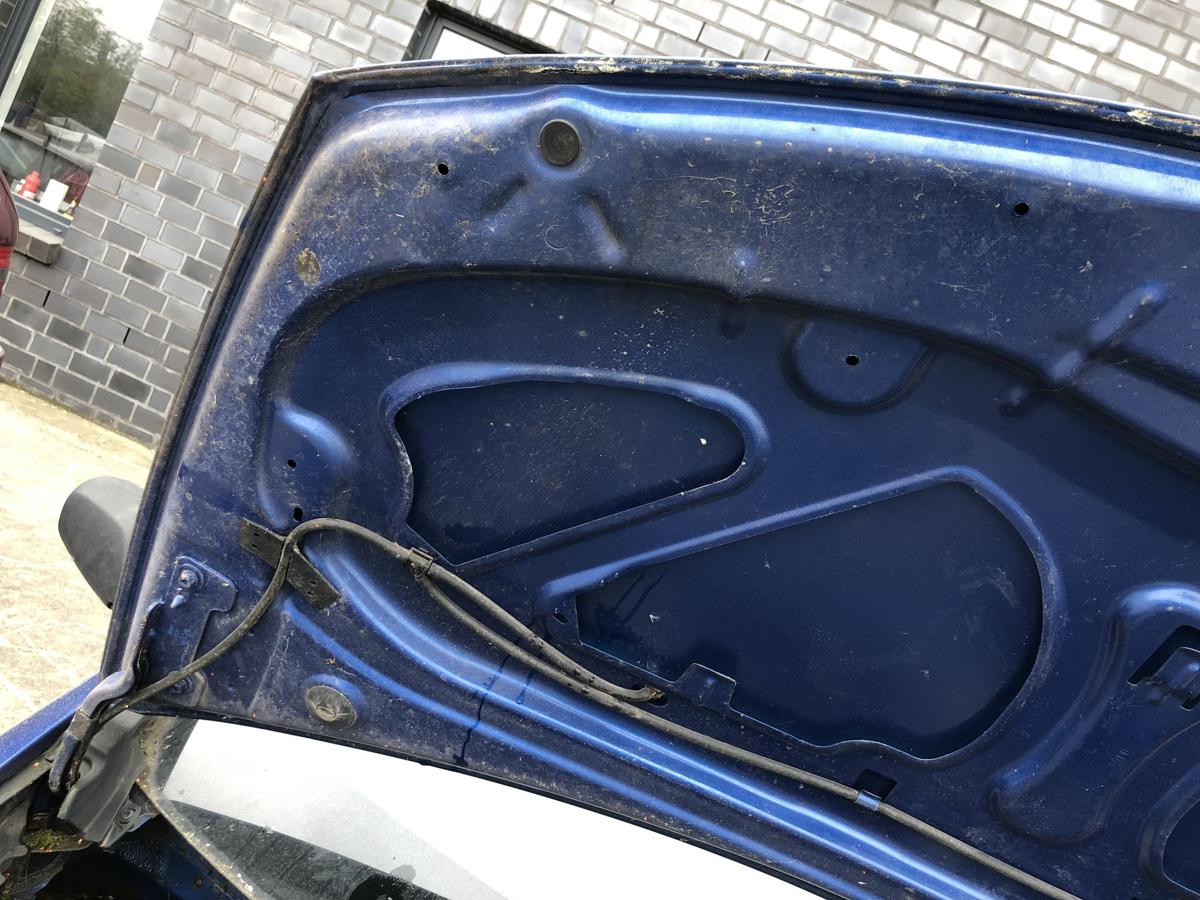 Renault Clio 3 Typ BR Motorhaube Haube Klappe Deckel vorn TERNA Blue