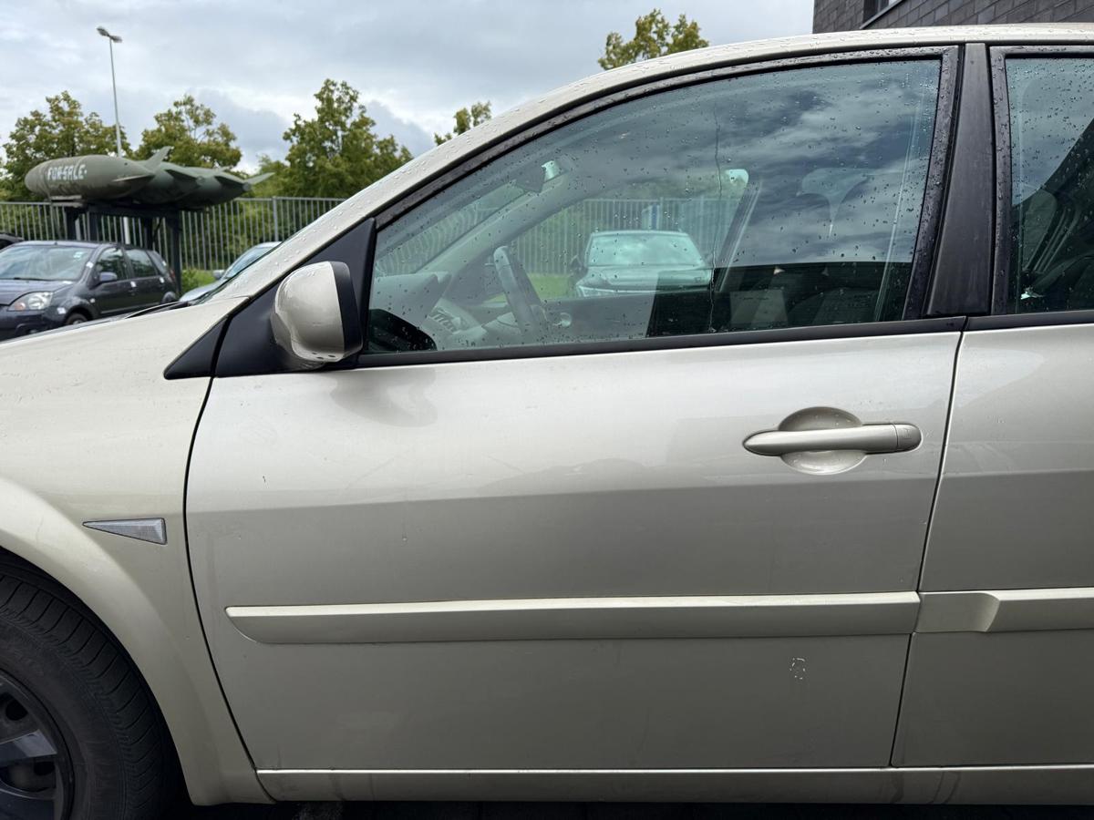 Renault Megane 2 original Tür vorn links Dakotabeige Rohbau BJ08