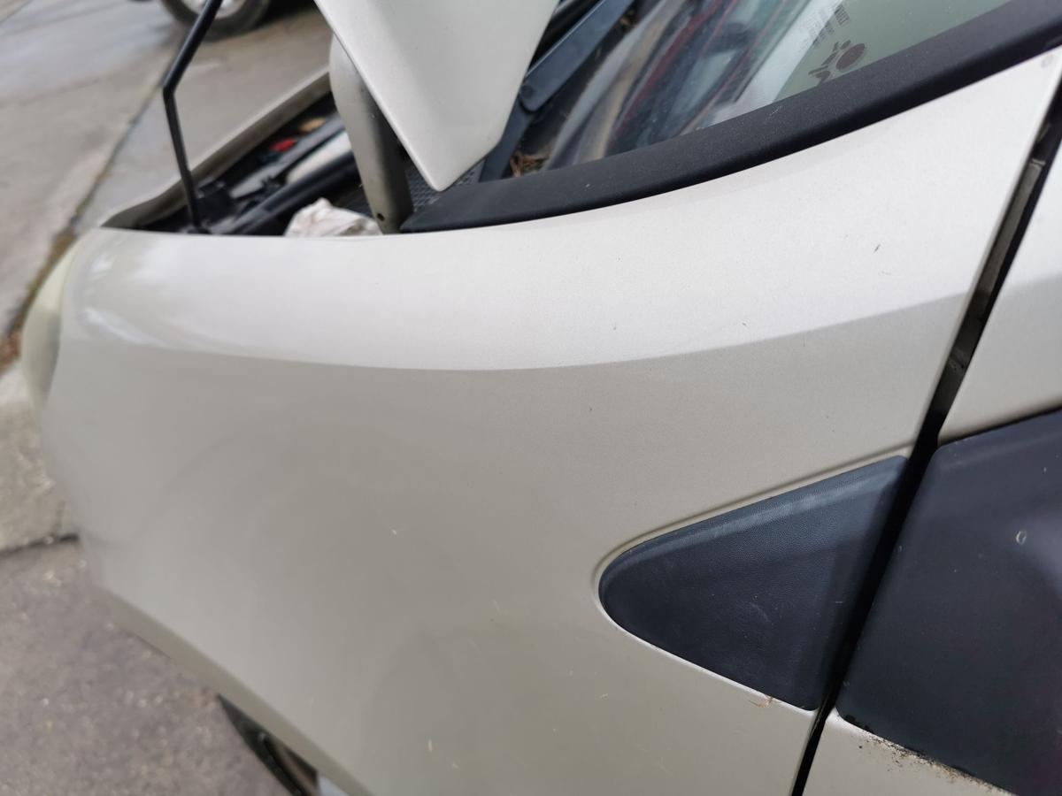 Renault Clio III BR Kotflügel Fender Seitenwand vorn links TED11 BeigePepper 185