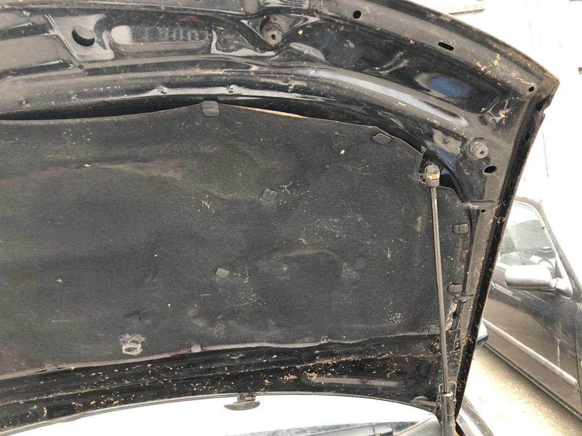 Audi A4 8E B6 Avant Motorhaube Haube Klappe Deckel K&uuml;hlergrill LZ9W schwarz