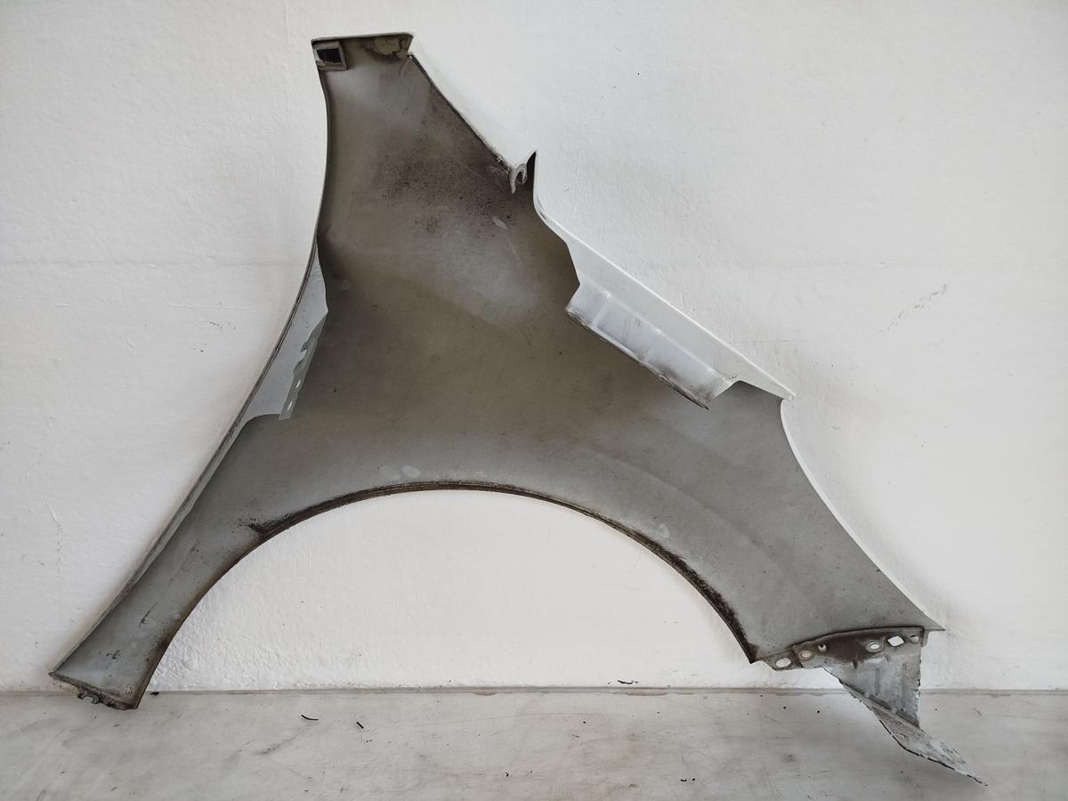 Peugeot 207 W Kotflügel Fender Seitenwand vorn links EWP WEISS BANQUISE