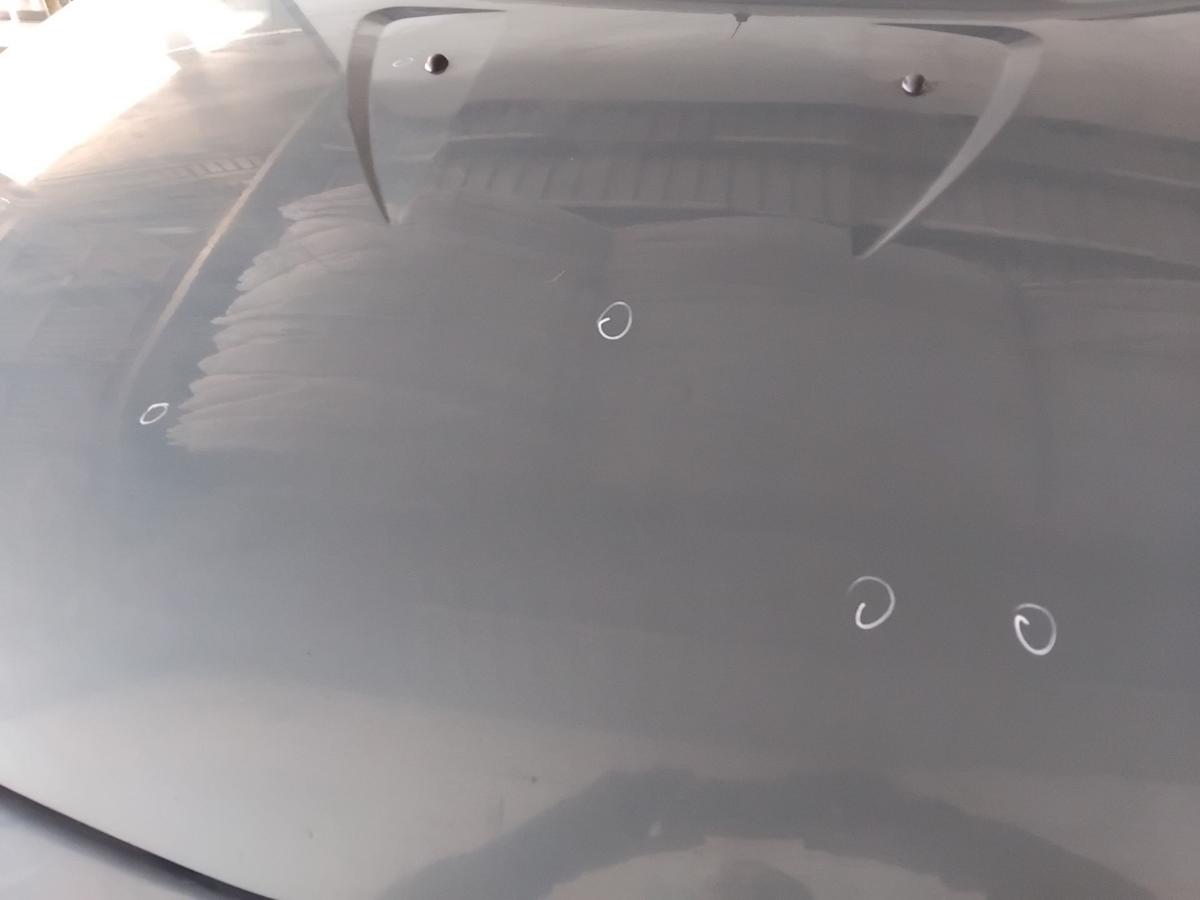 Dacia Sandero 1 original Motorhaube Deckel vorn blaumetallic TERNF BJ2009