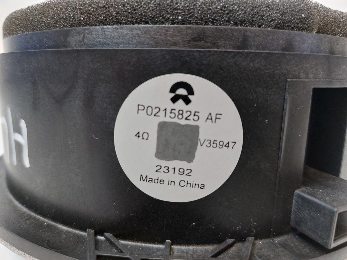 NIO EL6 Elektro SUV Lautsprecher T&uuml;r hinten links T&uuml;rlautsprecher Box Tiefton