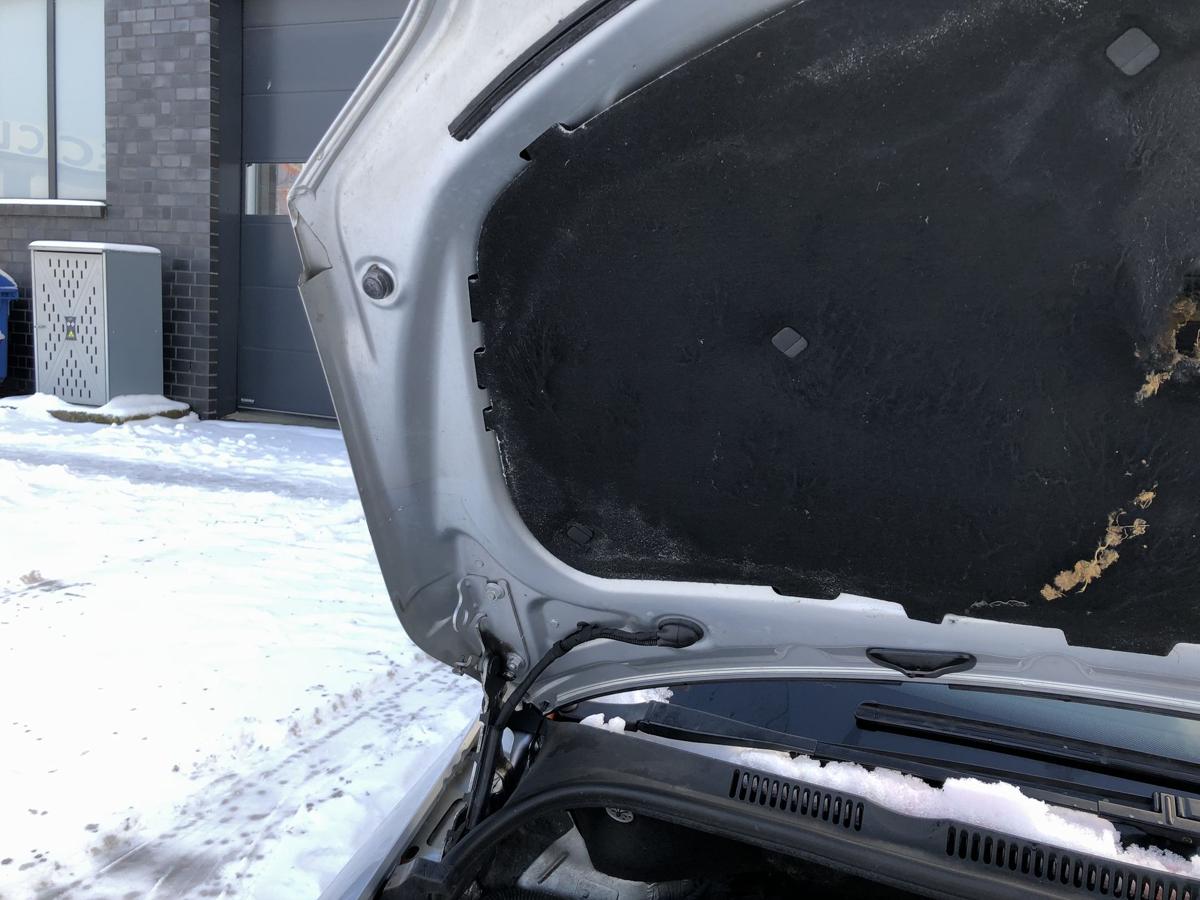 VW Golf Plus 5M Motorhaube Bonnet LA7W Haube vorn Deckel vorn