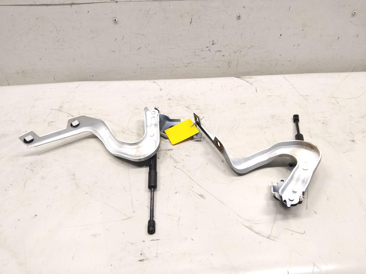 Tesla Model Y RWD original Satz Motorhaubenscharniere unfallfrei BJ2023