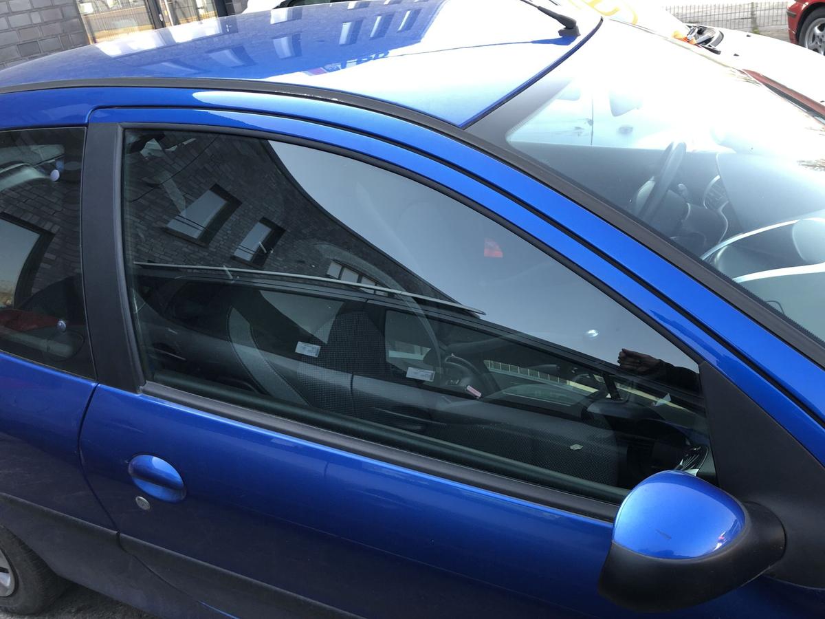 Peugeot 206+ T&uuml;rscheibe vorne rechts Scheibe Seitenscheibe Colorglas 3trg