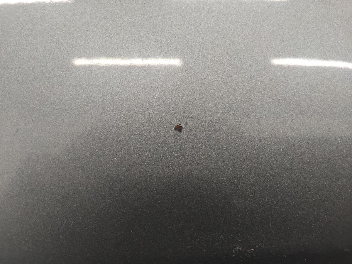 Suzuki SX4 original Motorhaube Deckel vorn ZCD Galactic Gray BJ2006