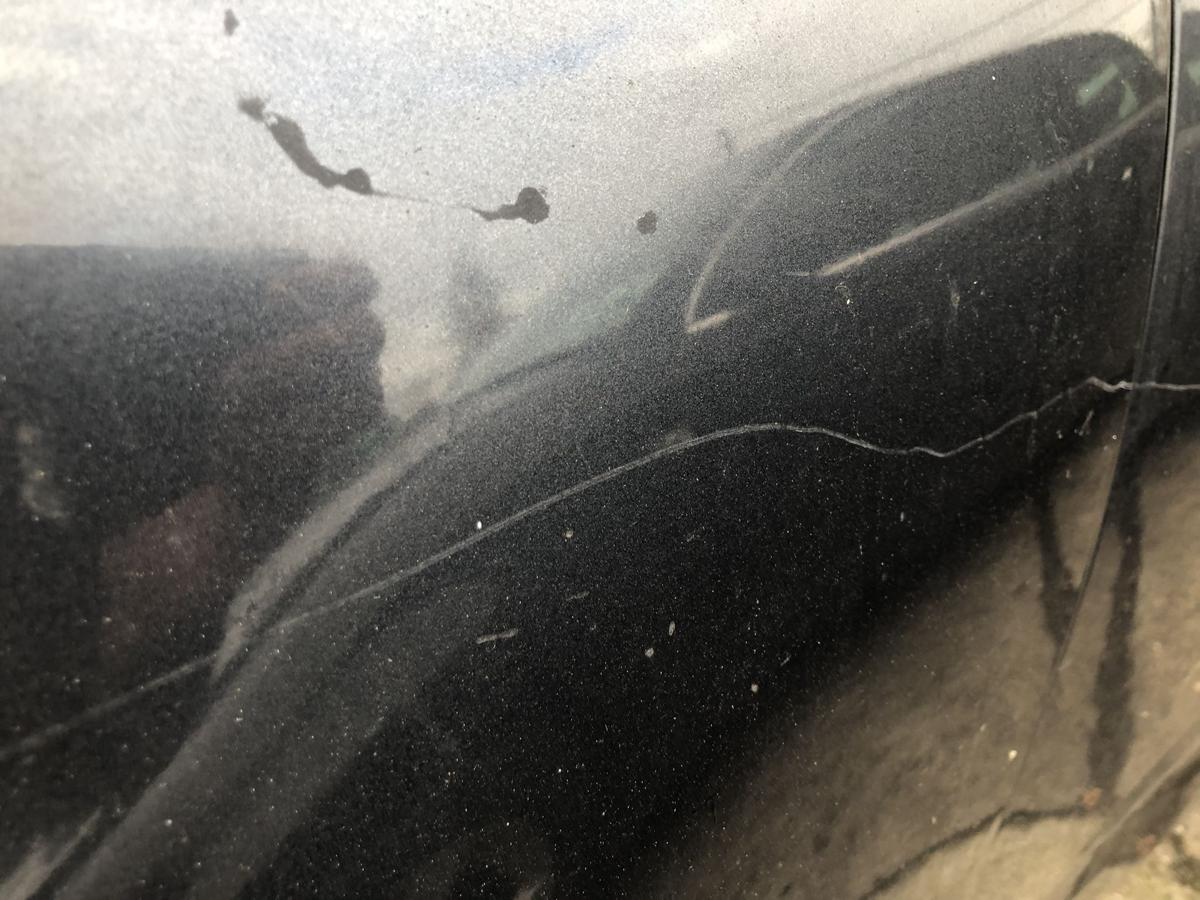 Renault Grand Scenic 3 III JZ Kotfl&uuml;gel links Fender Plastik TEB66