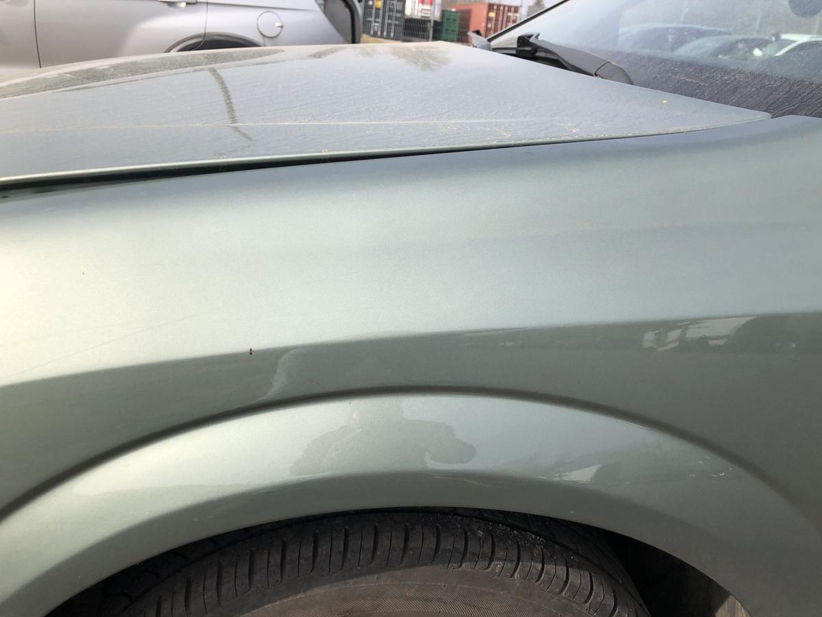 Opel Signum F48 Kotfl&uuml;gel vorn links Fahrerseite 3LU Bambusgr&uuml;n Met bis 2005