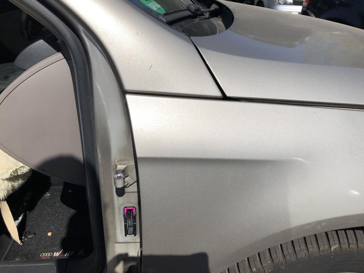 VW Passat 3C B6 Kotflügel vorn rechts Beifahrerseite Seitenteil LD1W Wheatbeige