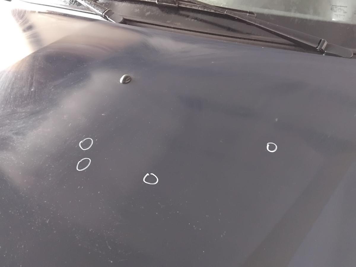 Dacia Logan Kombi original Motorhaube Deckel vorn OVD42 blue navy uni BJ2010