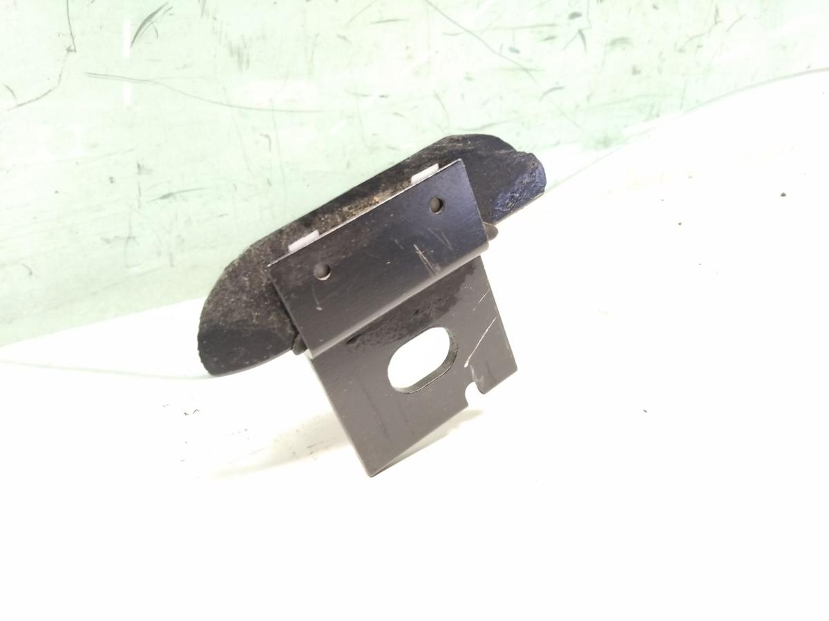 Tesla Model S T&uuml;rscheibe hinten rechts gr&uuml;ncolor Bj.2019