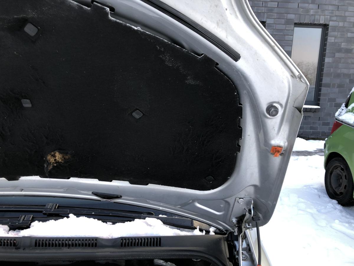 VW Golf Plus 5M Motorhaube Bonnet LA7W Haube vorn Deckel vorn