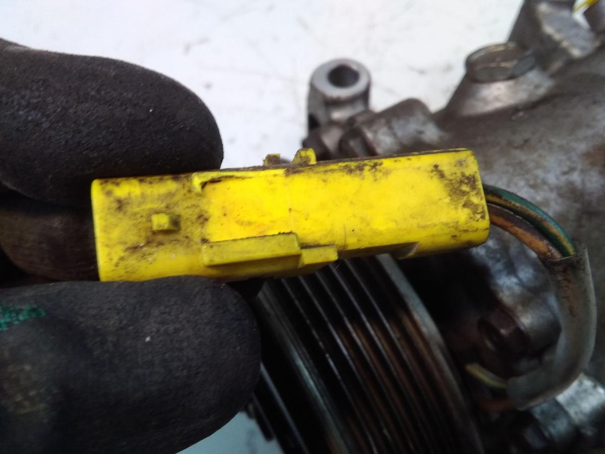 Peugeot 206 original Klimakompressor 1.4 55kw Sanden BJ2005 9655191580