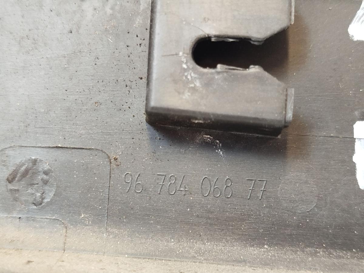 Peugeot 2008 I CU ab16 Zierleiste unten Tür hinten rechts Abschlussleiste