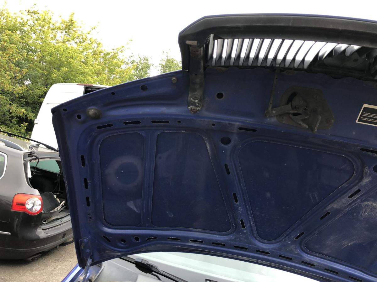 Skoda Fabia 6Y Motorhaube Haube Klappe Deckel vorn Grill LF5K Dynamic Blau
