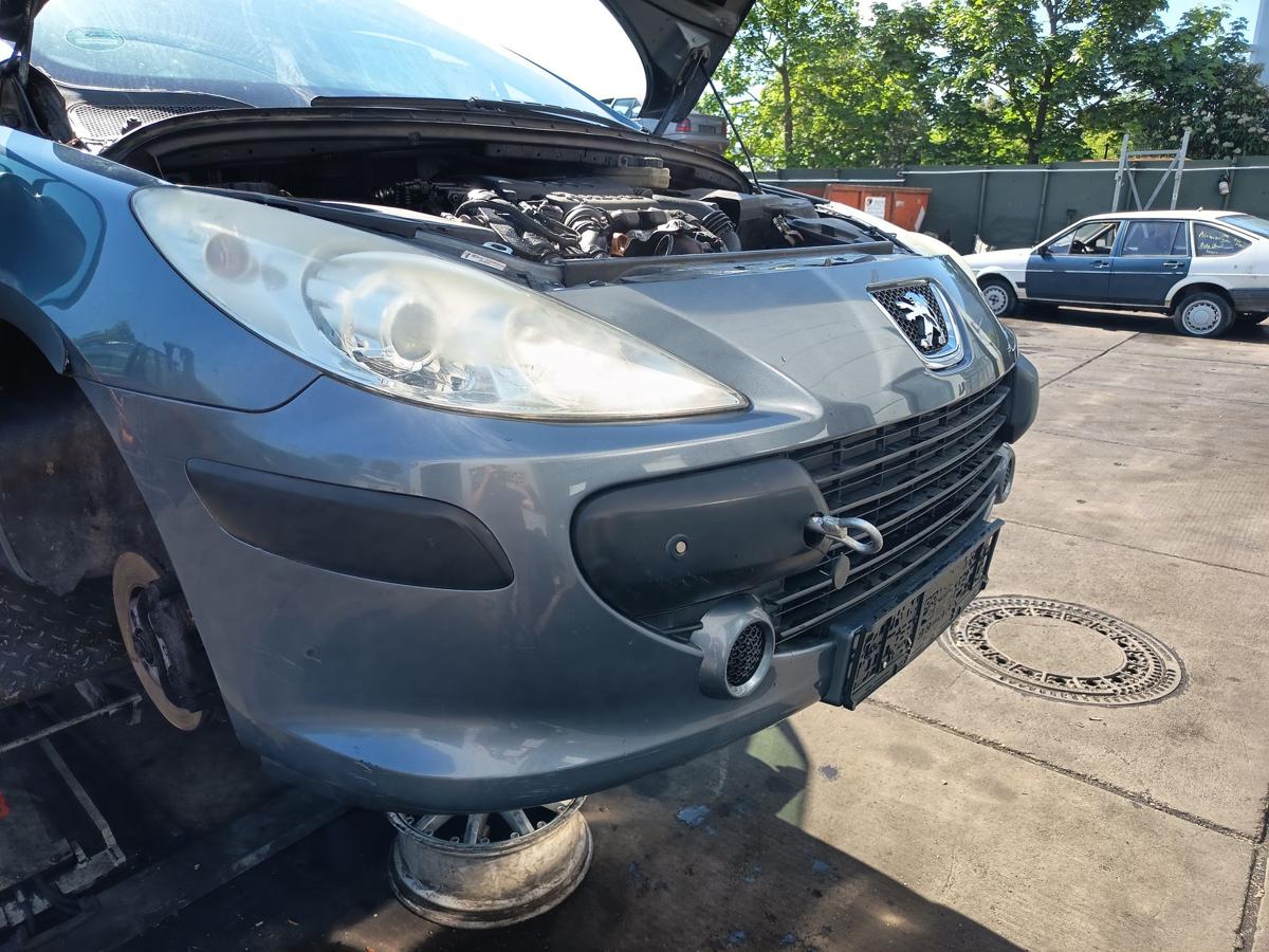 Peugeot 307 original Sto&szlig;stange F&auml;nger vorn Front EZW Eisengrau Bj 2006