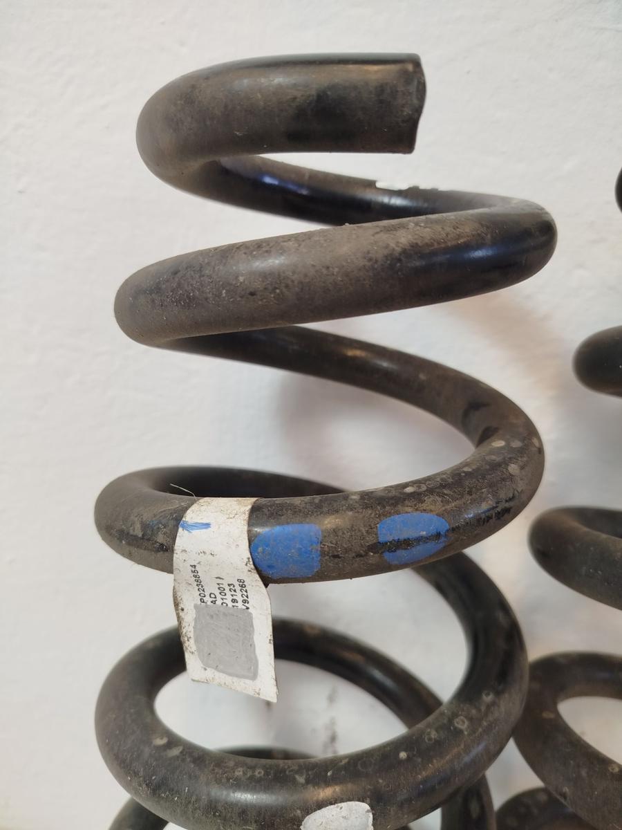 NIO EL6 Elektro SUV Satz Federn Hinterachse links rechts Hinterachsfeder