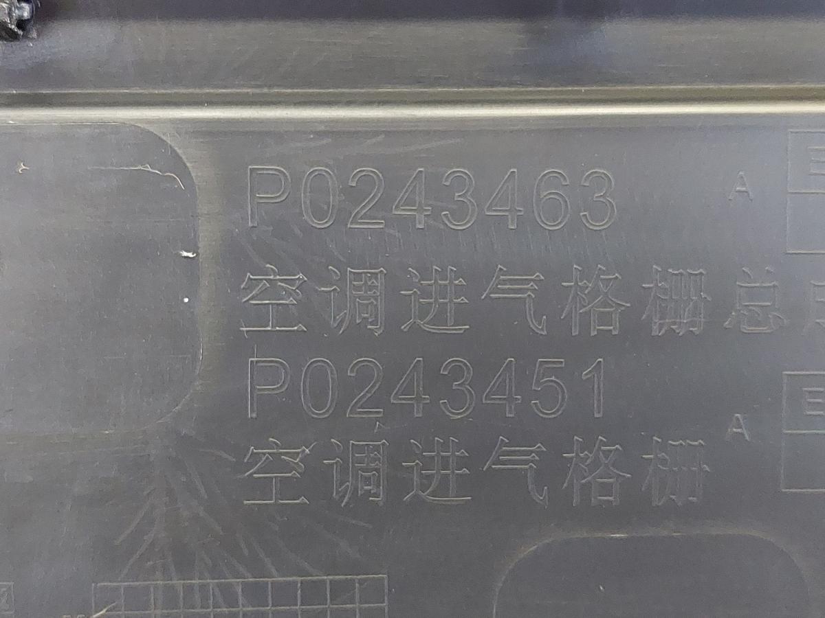 NIO EL6 Elektro SUV Windlauf Frontscheibe Abdeckung Wischeranlage