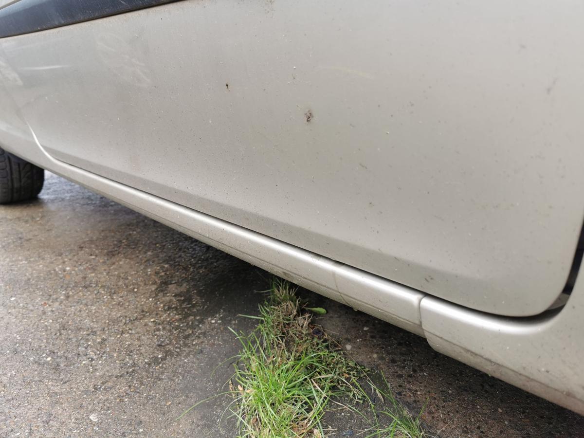 Renault Clio III Fahrertür Tür Autotür Rohbau vorn rechts 3trg TED11 BeigePepper