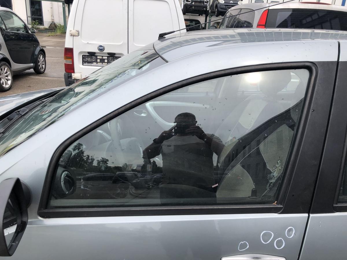 Dacia Sandero BS0 T&uuml;rscheibe vorn links Seitenscheibe Scheibe Colorglas