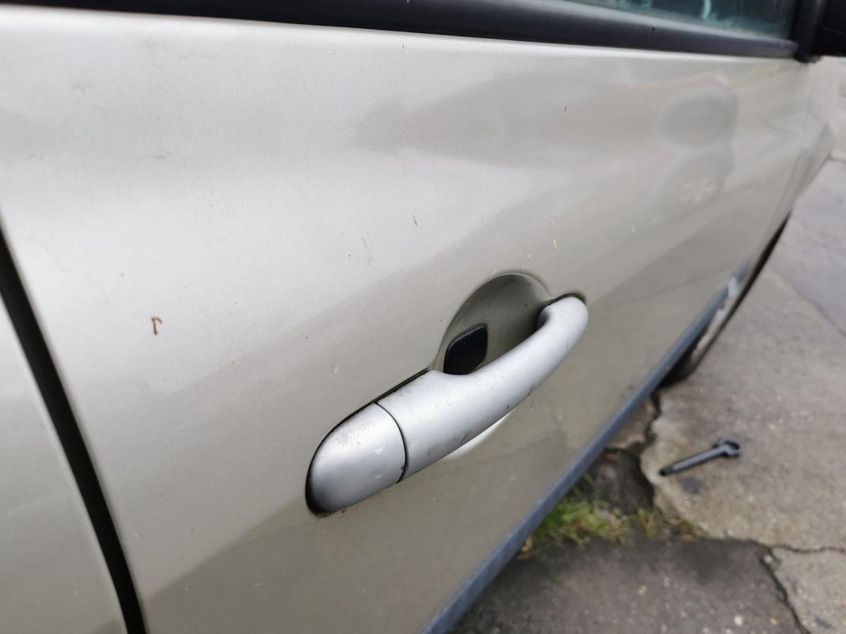 Renault Clio III Fahrertür Tür Autotür Rohbau vorn rechts 3trg TED11 BeigePepper