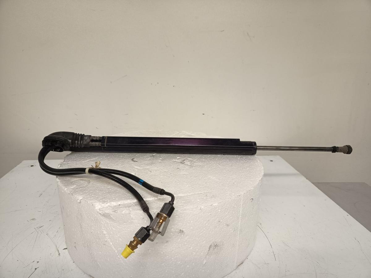 Opel Insignia A Sports T orig Gasdruckdämpfer Heckklappe links elektr. Bj 2010