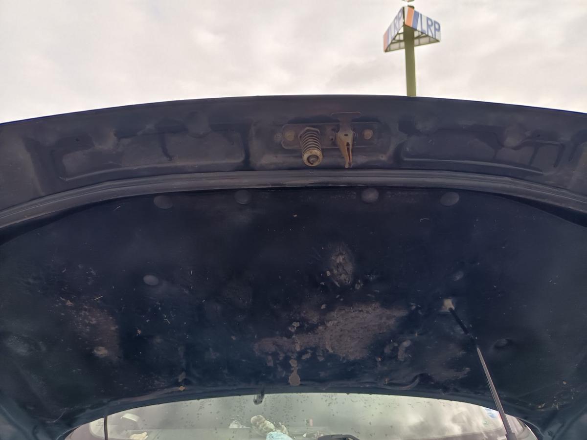 Land Rover Freelander original Motorhaube 697 Java Black Baujahr 2004