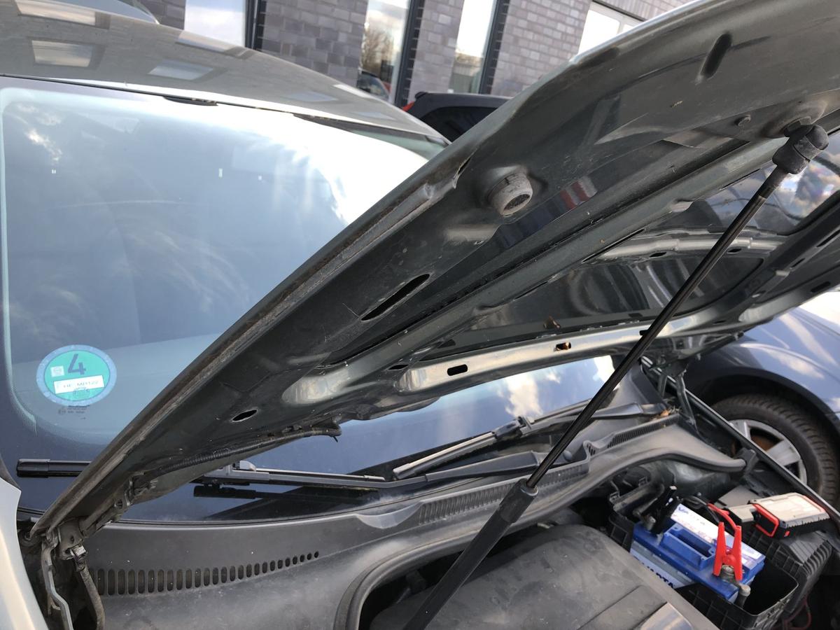 VW Golf 5 V 1K Motorhaube Haube Klappe Deckel vorn LA6Q Sagegreen