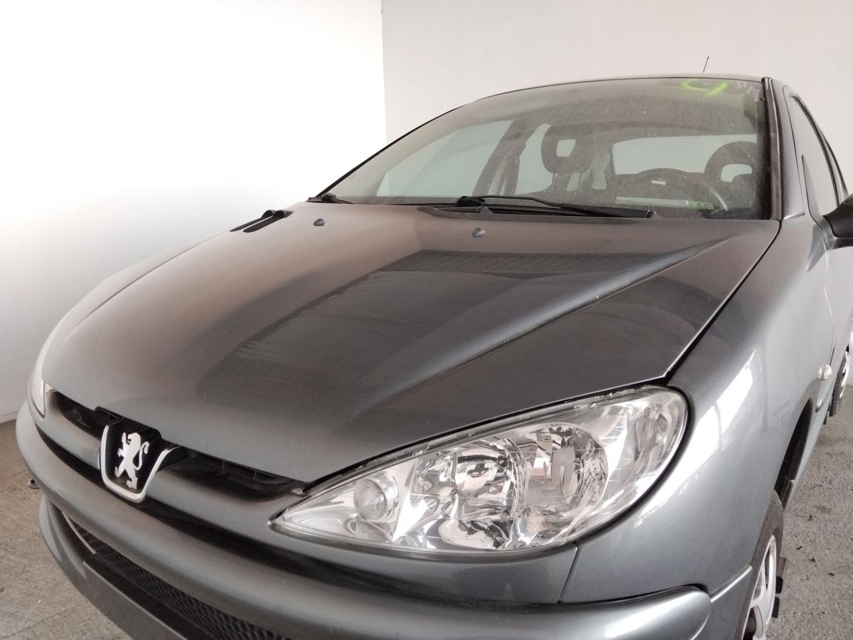 Peugeot 206 original Motorhaube thoriumgraumetallic KTH BJ2008