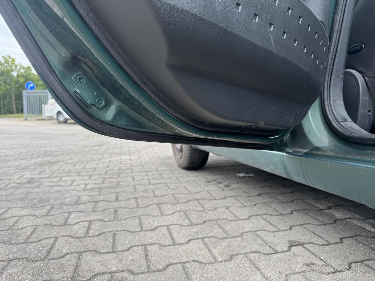 Renault Megane 2 original T&uuml;r hinten links D96 Vert Giverny Flie&szlig;heck Rohbau Bj.2004