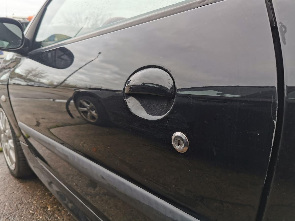 Peugeot 206 CC Fahrertür Tür Autotür vorn links Rohbautür EXY Onyxschwarz