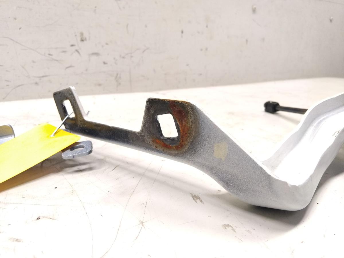 Tesla Model Y RWD original Satz Motorhaubenscharniere unfallfrei BJ2023