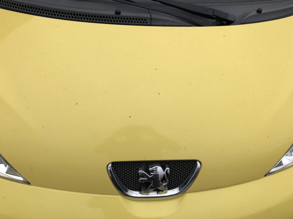 Peugeot 107 Typ P Motorhaube Haube Klappe Deckel vorn KBL Citrus Gelb